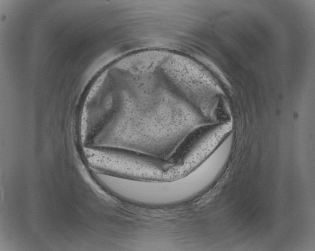 X0000081470991200702092335