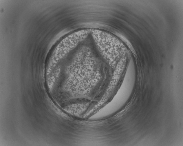 X0000081470992200702092335