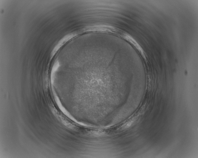 X0000081470994200702092335