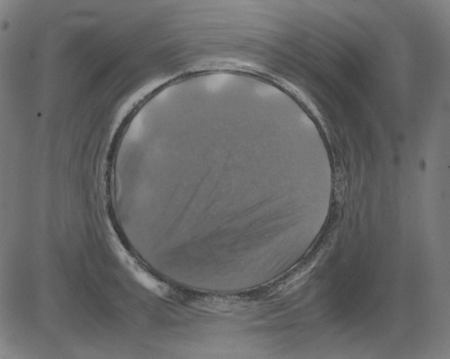 X0000081470995200702092335