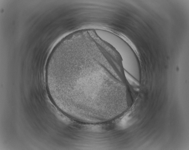 X0000081470996200702092335