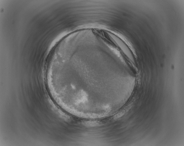 X0000081470998200702092335