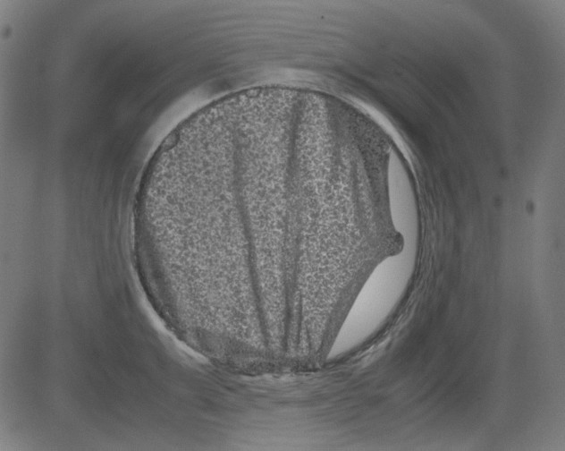 X0000081470999200702092335