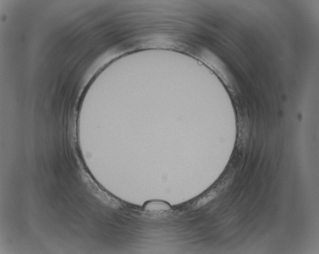 X0000081471000200702092335