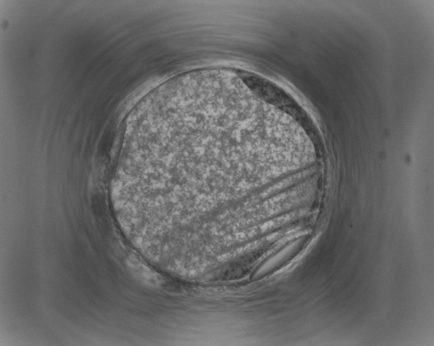 X0000081471001200702092335