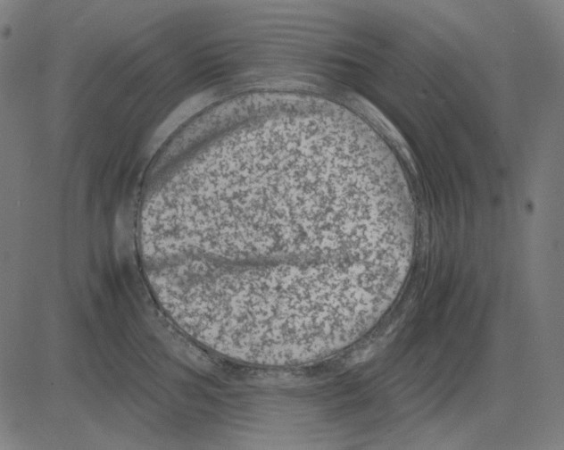 X0000081471002200702092335