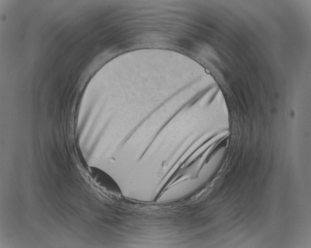 X0000081471004200702092335