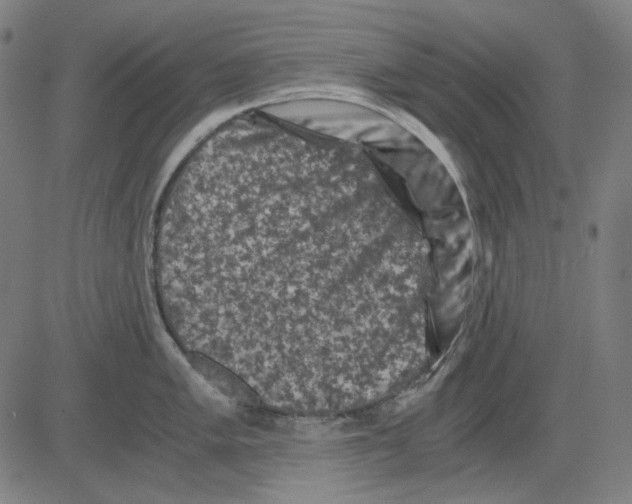 X0000081471005200702092335