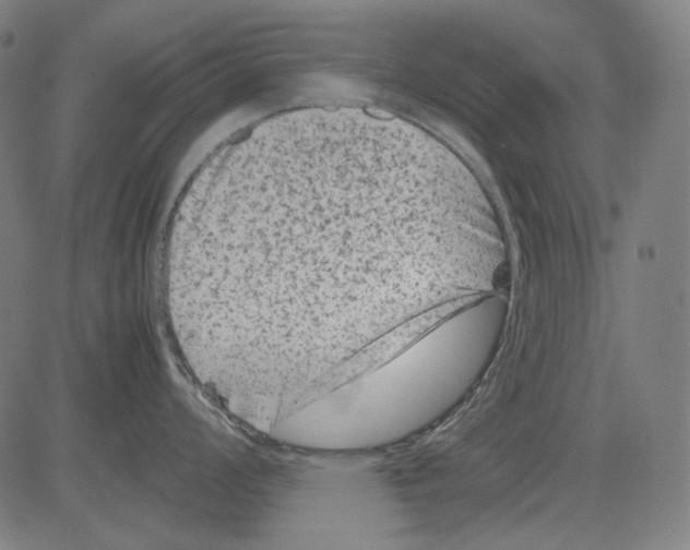 X0000081471008200702092335