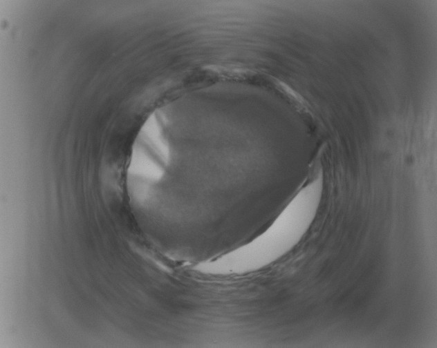 X0000081471010200702092334