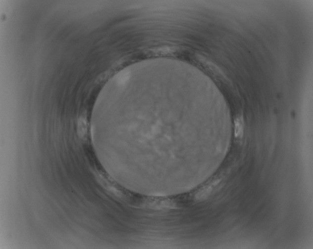 X0000081471011200702092334