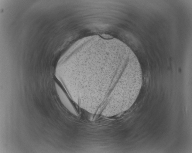 X0000081471012200702092334