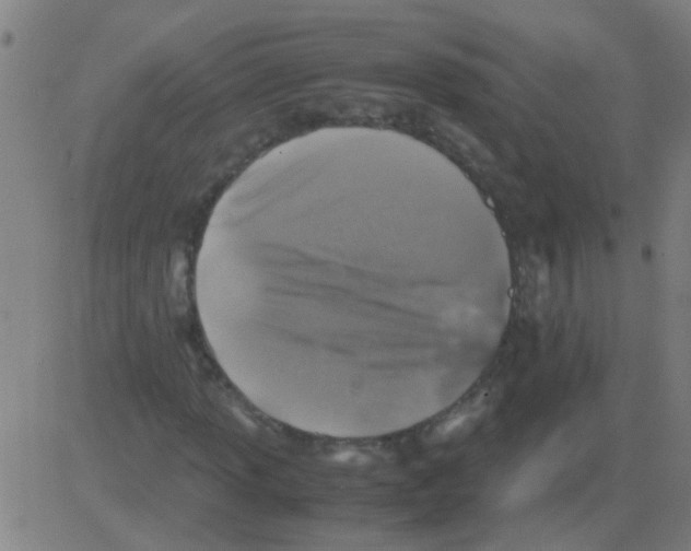 X0000081471013200702092334