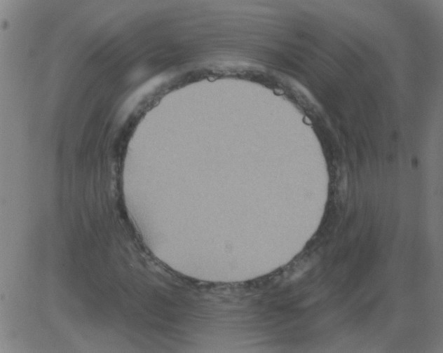 X0000081471016200702092334