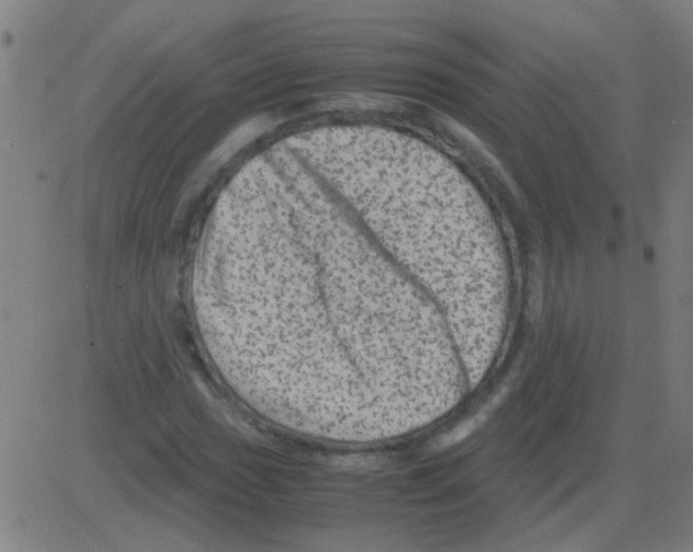 X0000081471017200702092334