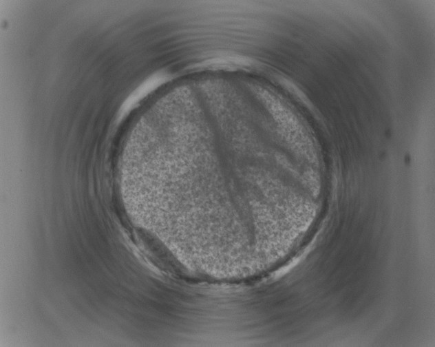 X0000081471018200702092334