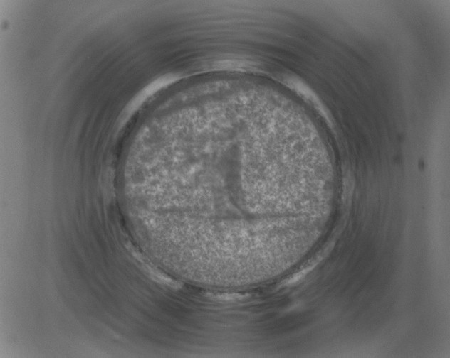 X0000081471019200702092334