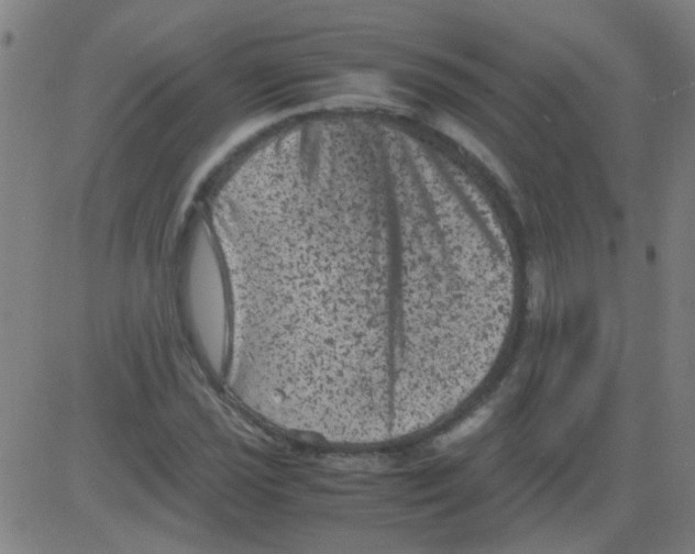 X0000081471021200702092334