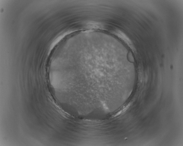 X0000081471023200702092334