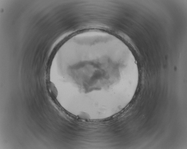 X0000081471024200702092334