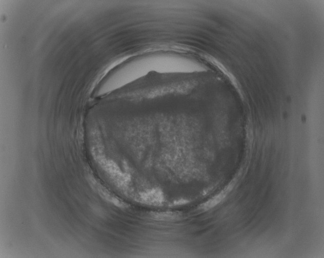 X0000081471025200702092334