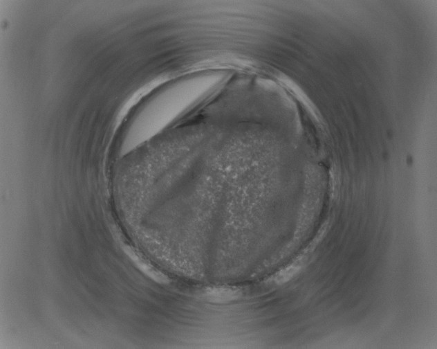 X0000081471026200702092334