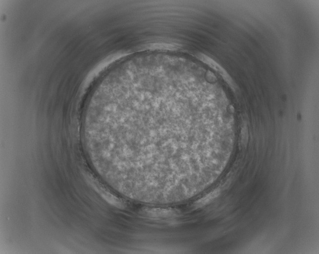 X0000081471027200702092334