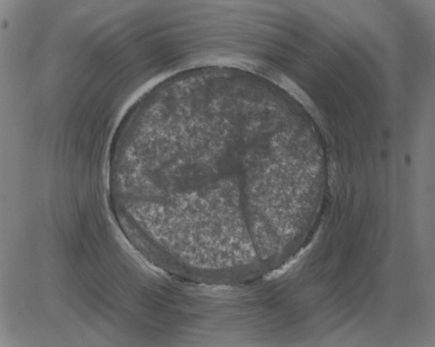 X0000081471028200702092335