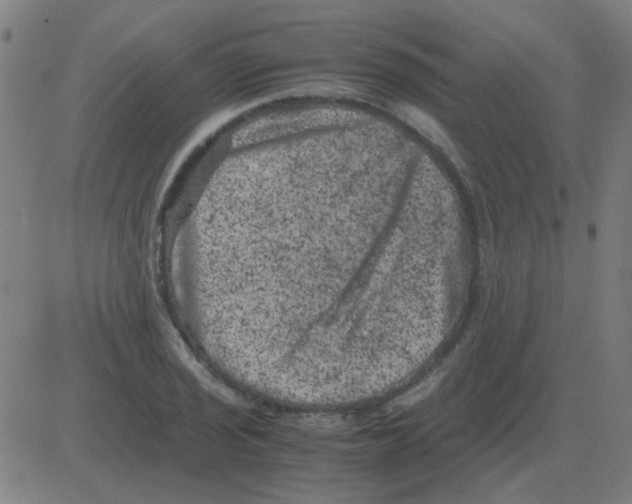 X0000081471029200702092335