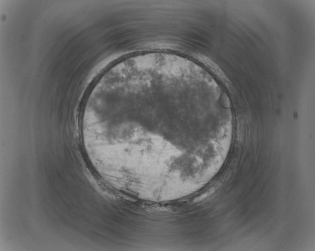 X0000081471031200702092335