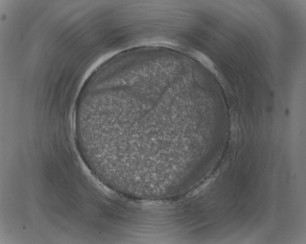 X0000081471032200702092335