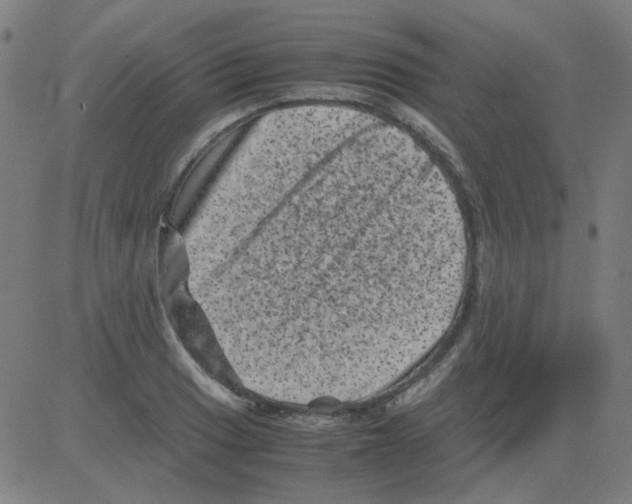 X0000081471033200702092335