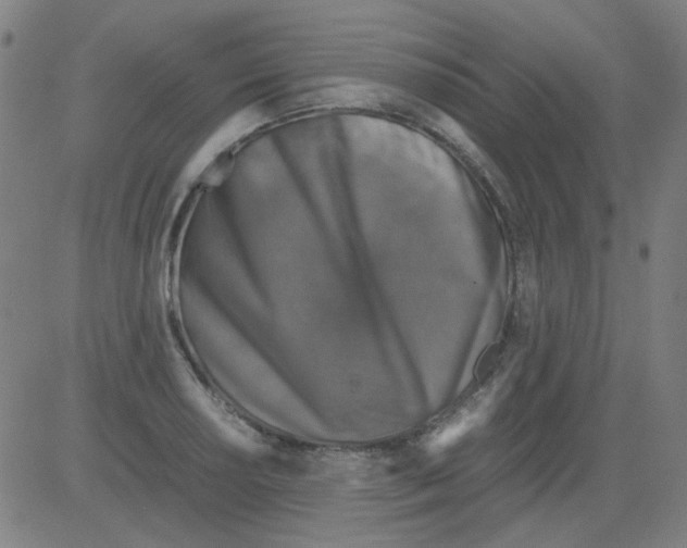 X0000081471034200702092335