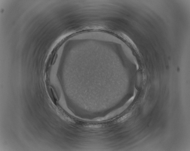 X0000081471035200702092335