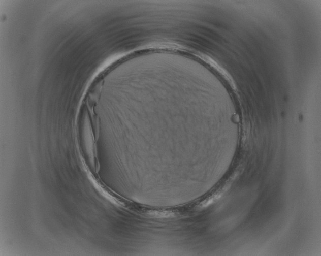 X0000081471037200702092335