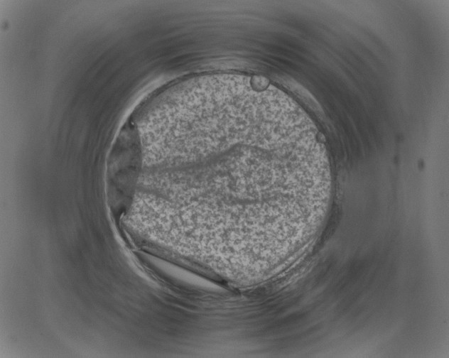 X0000081471039200702092335