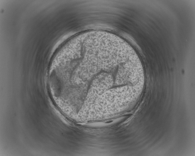 X0000081471040200702092335