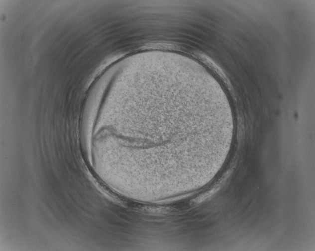 X0000081471041200702092335