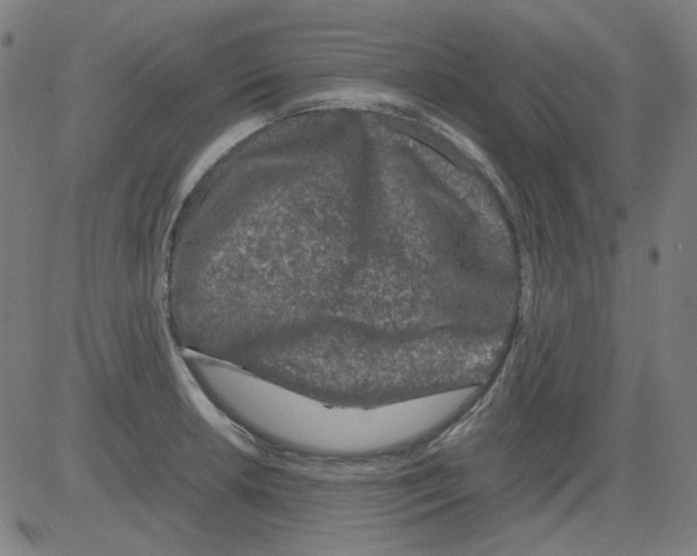 X0000081471042200702092335