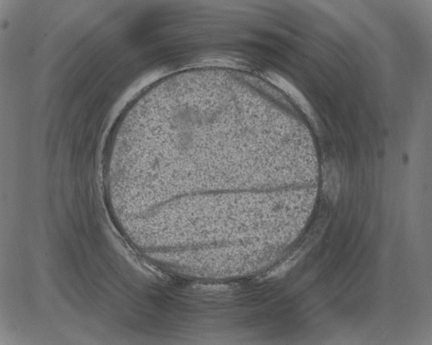 X0000081471043200702092335