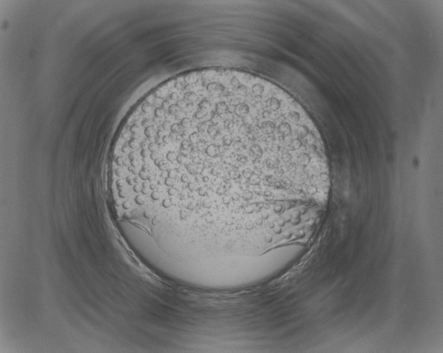 X0000081471044200702092335