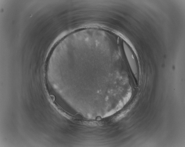 X0000081471045200702092335