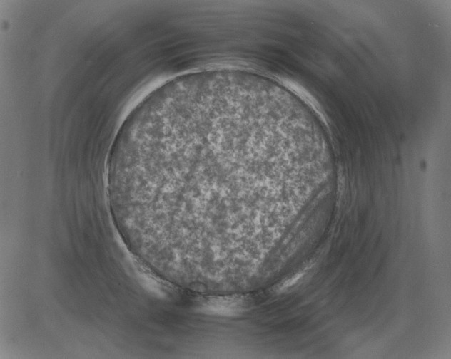 X0000081471047200702092335