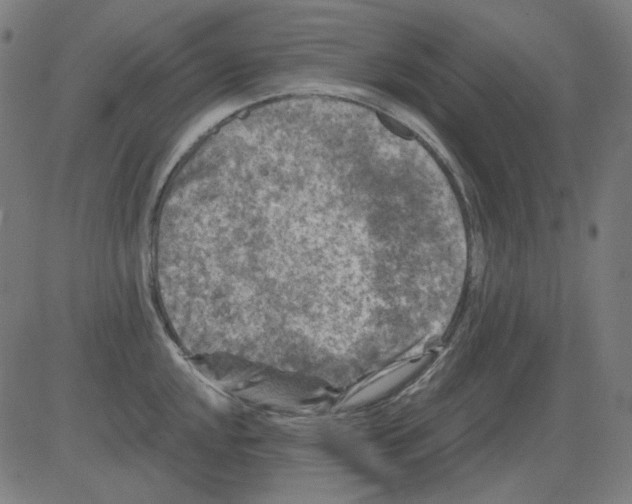 X0000081471048200702092335