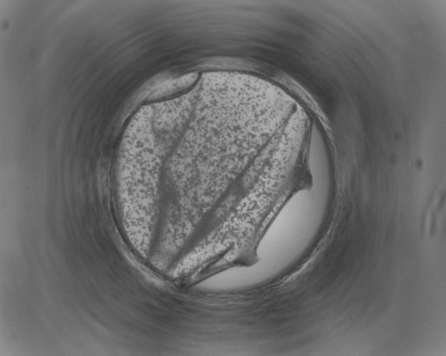 X0000081471049200702092335