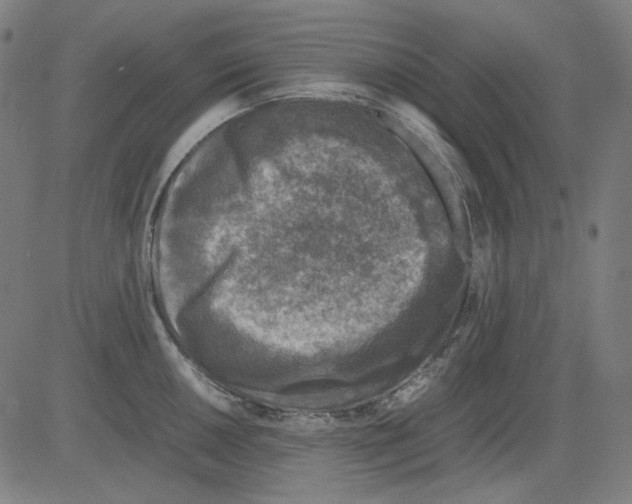 X0000081471050200702092335