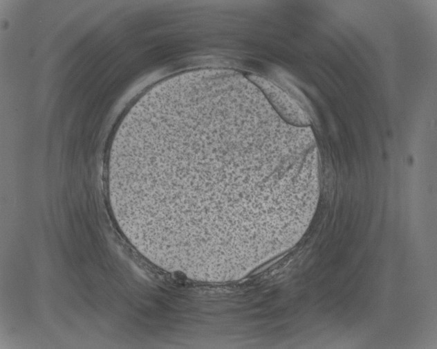 X0000081471051200702092335