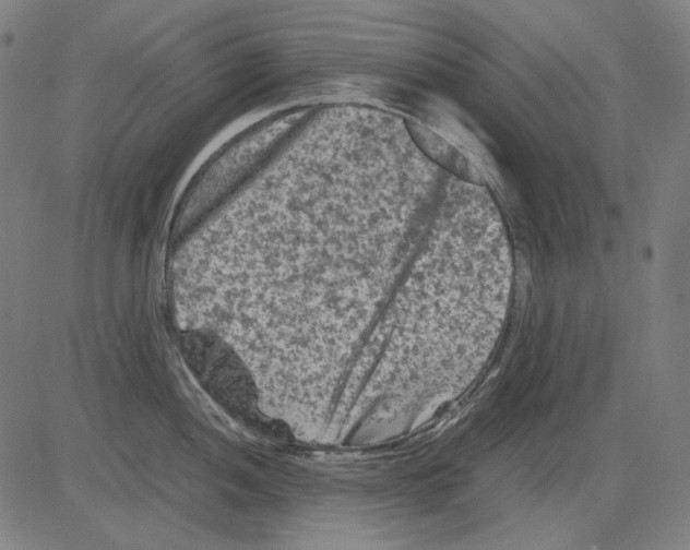 X0000081471052200702092335