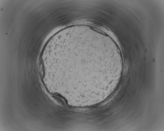 X0000081471053200702092335