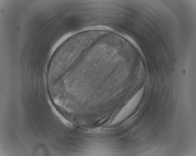 X0000081471054200702092335